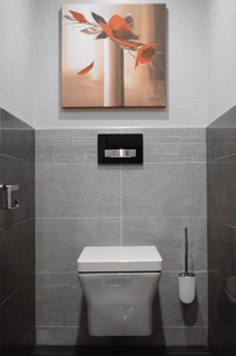 Installation cuvette toilette suspendue - Jacob Delafon 